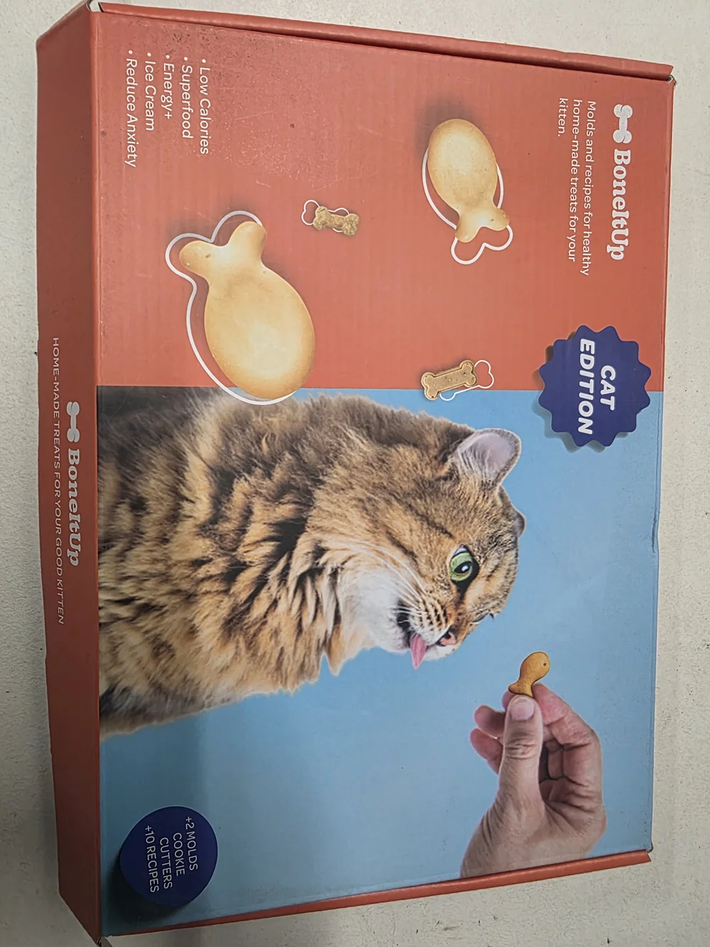 Cat Edition Treat Box in Orange & Blue